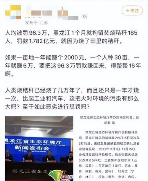  网传黑龙江因烧秸秆185人拘留，人均被罚96.3万？背后真相来了？