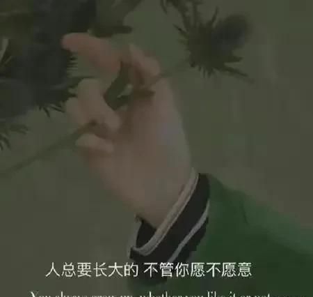 让人心酸的文案短句(让人心酸的文案配图)