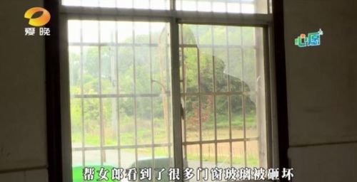 母亲不堪父亲家暴离家出走，10岁女孩“何以为家”？