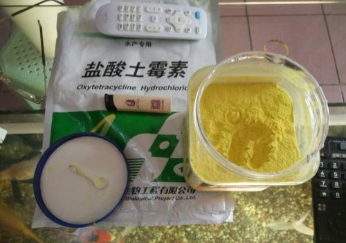 鱼缸用药过量怎么办?(鱼缸药水放多了怎么办)