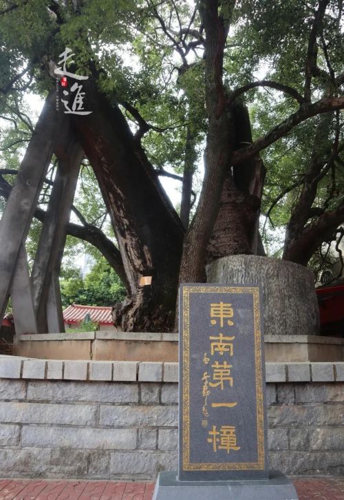 莆田东延山上有个祀奉林兆恩的祖祠,你知道吗(莆田林氏祖墓)