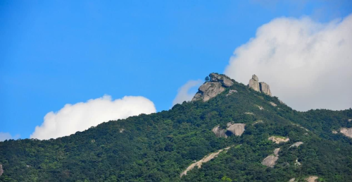 罗浮山音乐(罗浮山音乐节)