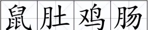 鼠肚鸡肠是成语吗?(鼠肚鸡肠打一个数字)