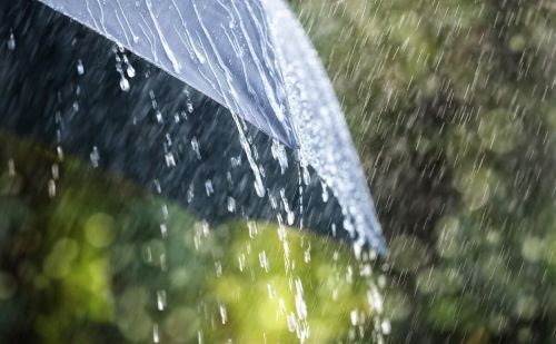 夏日听雨,雨声如喘(夏日听雨的诗句)