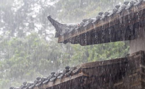 夏日听雨,雨声如喘(夏日听雨的诗句)