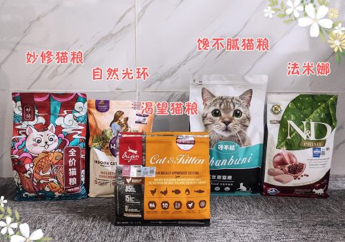 猫的睡姿是什么样的?(猫咪的睡姿有什么含义呢?)