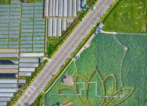成都农业和重庆农业：一个比较视角