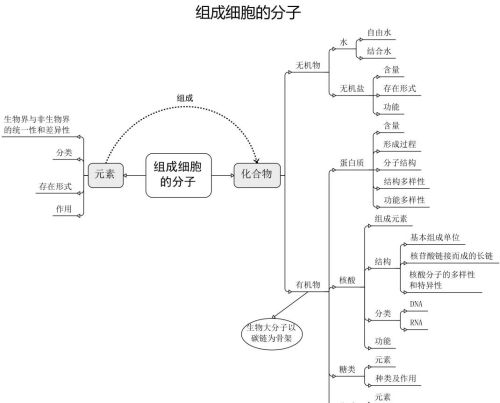 高中生物细胞思维导图高三网(高中生物有关细胞的思维图)