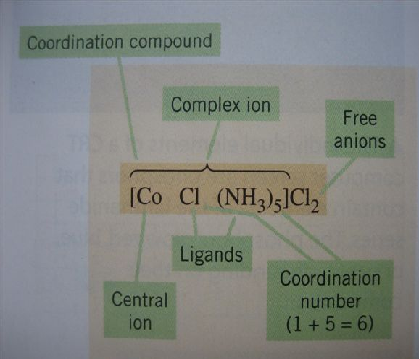 物质的化学组成与聚集状态(化学物质的聚集状态)