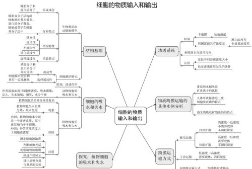 高中生物细胞思维导图高三网(高中生物有关细胞的思维图)