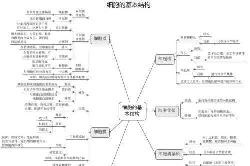 高中生物细胞思维导图高三网(高中生物有关细胞的思维图)