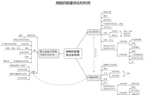 高中生物细胞思维导图高三网(高中生物有关细胞的思维图)