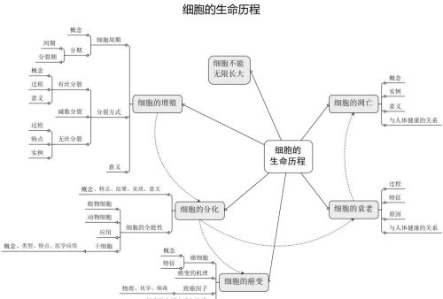 高中生物细胞思维导图高三网(高中生物有关细胞的思维图)