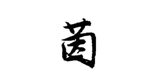 给孩子取名字用什么字(小孩取名建议)