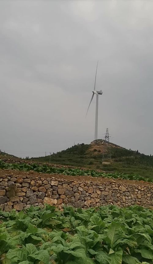 宁静的山村诗词(宁静的山村图片)