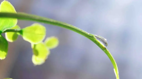 一程山水一年华啥意思(一程山水一年华,独愿此去经年,一生坦荡,一生纯善)