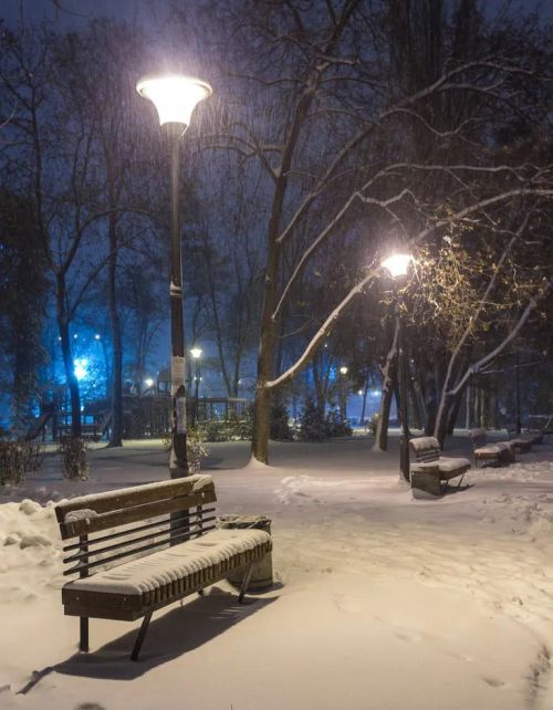 雪花飞舞的冬夜 想你是什么歌(雪花飞舞的冬天是什么歌)