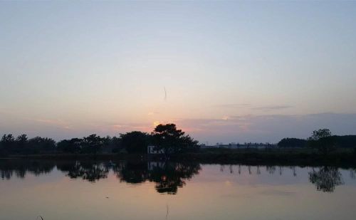 盛夏野钓鲫鱼技巧(盛夏夜钓)