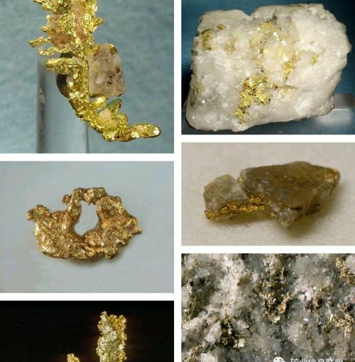 矿石之家红磷铁矿和黄金哪个好(矿石之家红磷铁矿和黄金矿哪个好)