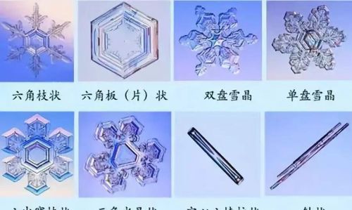 下雪时雪花的形状(下雪时雪花的形状)