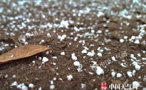 下雪时雪花的形状(下雪时雪花的形状)