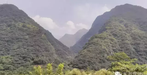 知者乐水,仁者乐山!(知者乐山,仁者乐水什么意思)