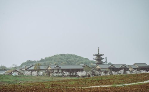 小不忍则祸立全文翻译(小不忍则祸立)