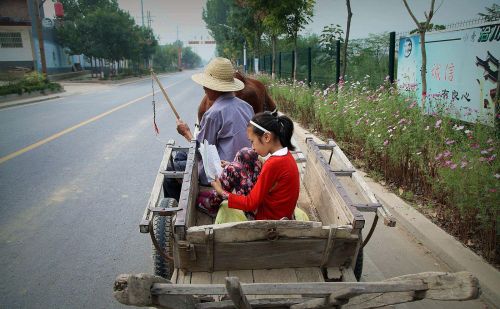 梦里乡愁，黄土地上慢悠悠的黄牛拉车