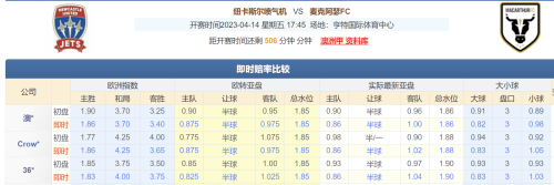 纽卡斯尔vs阿森纳(纽卡斯尔vs悉尼fc)