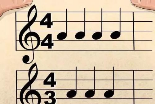音乐初步:如何认识乐谱的音符(音乐初步:如何认识乐谱和音符)