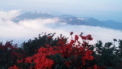 想来一场说走就走的旅行的说说,我带上你(赴一场说走就走的旅行)