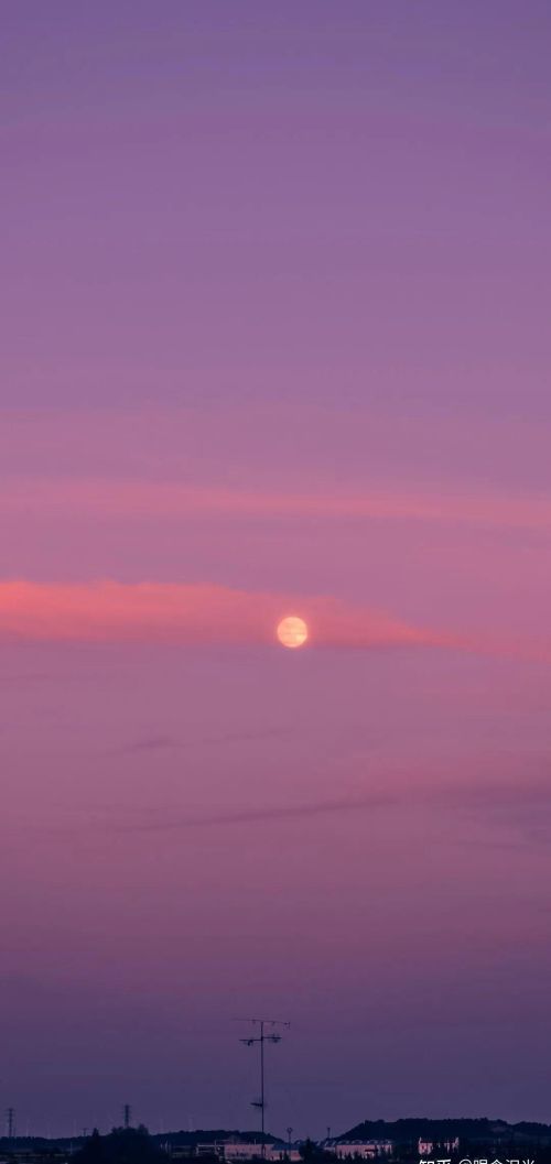 花,太阳,雨和你是什么意思(花和太阳雨和你是什么意思)