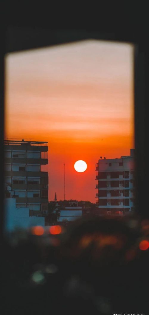 花,太阳,雨和你是什么意思(花和太阳雨和你是什么意思)