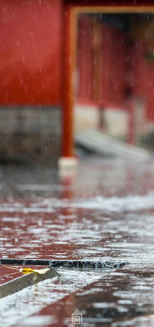 花,太阳,雨和你是什么意思(花和太阳雨和你是什么意思)