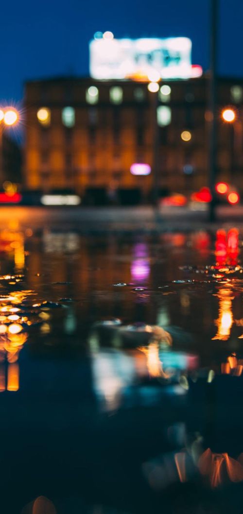 花,太阳,雨和你是什么意思(花和太阳雨和你是什么意思)