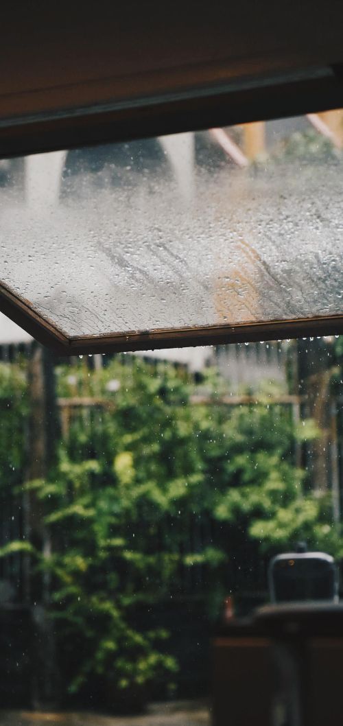 花,太阳,雨和你是什么意思(花和太阳雨和你是什么意思)