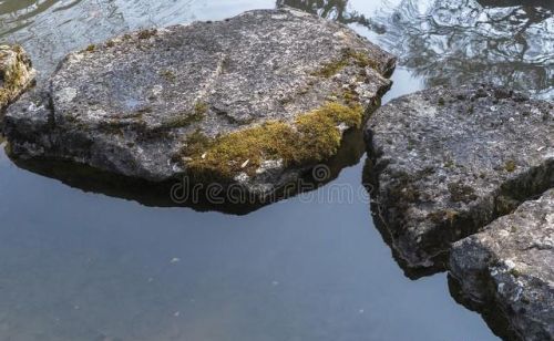 规避风险是什么意思啊(规避风险的有效措施)