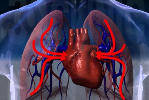 影响心脏功能的几个因素是什么(影响心脏功能的几个因素有哪些)