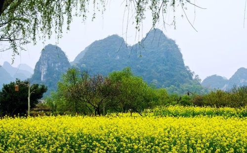 阳朔世外桃源旅游攻略(阳朔世外桃源简介)