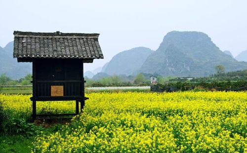 阳朔世外桃源旅游攻略(阳朔世外桃源简介)