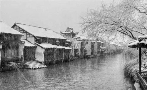 蓝桥春雪君归日 秦岭秋风我去时意思(蓝桥春雪/秦岭秋风)