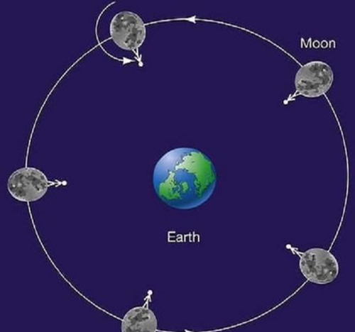 星系旋臂是什么(星系旋臂形成原因)