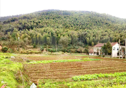 离恨恰如春草,更行更远还生.什么意思(离恨恰如春草,更行更远还生翻译)