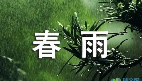 春雨如丝意思(春雨如丝下一句是什么)