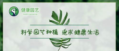 禁忌之果是什么意思(禁忌之术是什么意思)