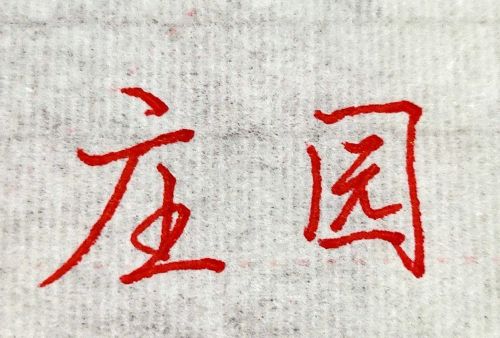 单字解析：“庄”的书写详细分析，掌握方法练好字