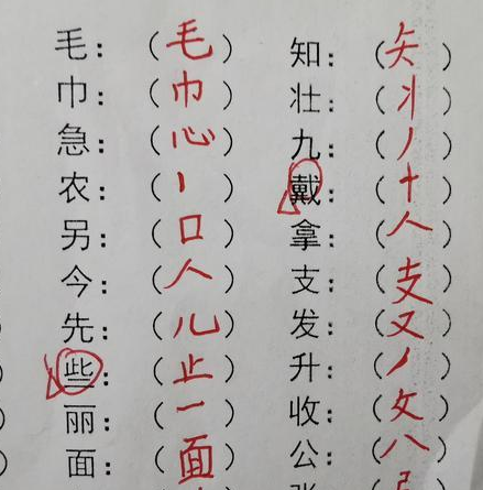 二年级下册生字部首笔画(二年级下册生字笔顺部首结构)