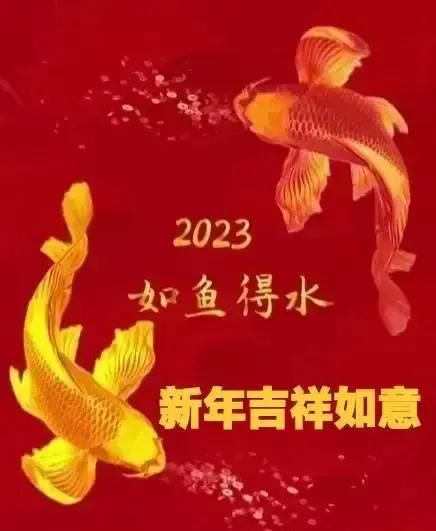 2023新年祝福语四字(2023新年祝福语四字成语)