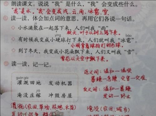 我是什么二年级语文课堂笔记(二年级语文我是什么课文讲解)