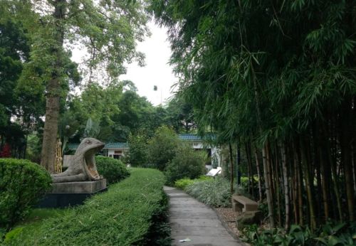 繁市中的休闲静地，以竹林为主的广州晓港公园
